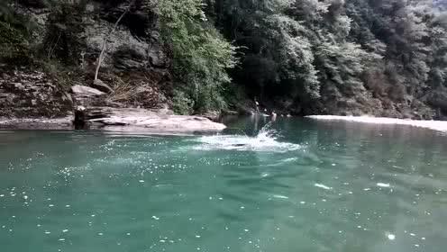 拯救枯树