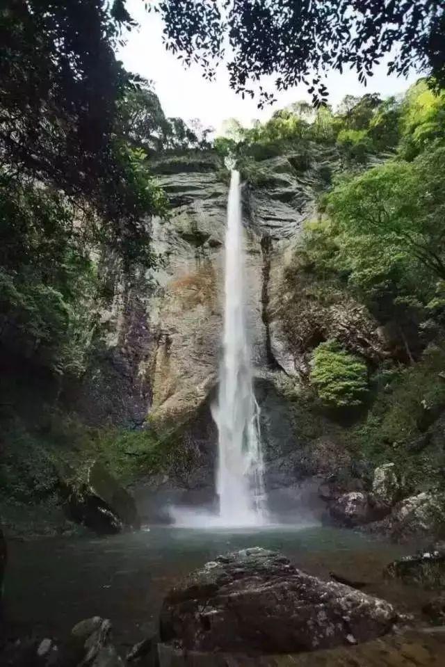 文中哪些地方可以看出德国林业局官员执法如山请至少列举两条事例_文中哪些地方可以看出德国林业局官员执法如山请至少列举两条事例红迪网平台,最新资讯、讨论和分享