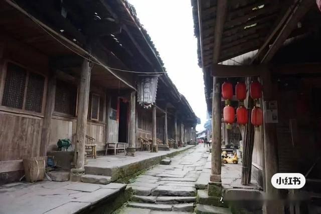 救援蓝色小兔